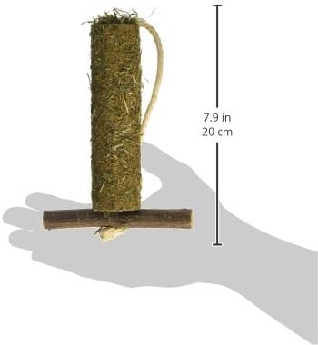 Rosewood Naturals Hay-n-Treat Swing for Small Animals