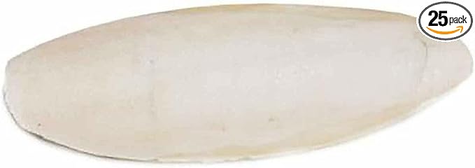 Prevue Pet Products 6 inch Bulk Cuttlebone - 25 per Box with Holder, Large