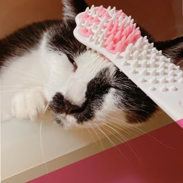 Cat Dental Brushing Toy - Dual Action Grooming and Teeth Cleaning, Professional Playful Tooth Brushing Tool with Catnip Flavor Suitable for All Cats Helps Maintain Oral Health (White).
