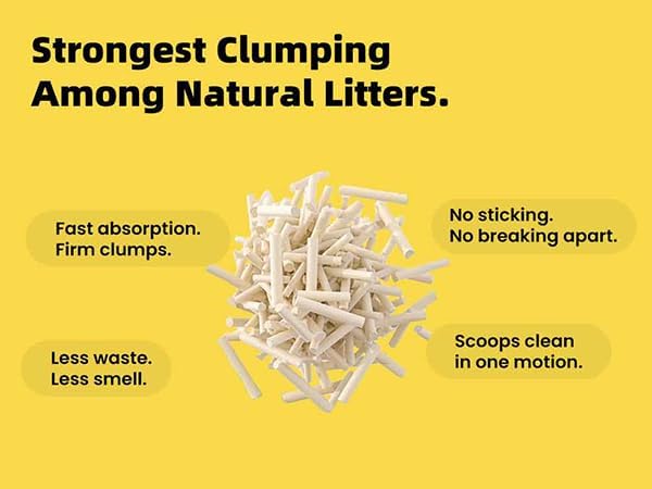 Tofu Cat Litter Flushable, Fast Clumping, Scoop Poop Easily, Less Dust, Less Tracking, Natural Non Toxic Cat Litter, Biodegradable cat Litte, sustainably Yours, I'm Gonna Pee(5.7lb x 1pack)