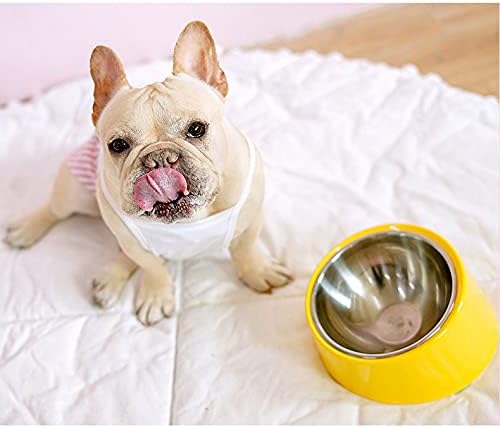 15° Tilted French Bulldog Bowl – Anti-Choke Anti-Spill Dog Bowl with Weighted Non-Skid Base, Stainless Steel Insert, Large 750ml for Flat-Faced Breeds