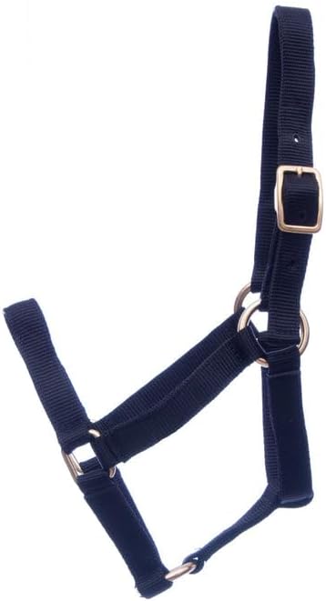 Jeffers Equine Mini Horse Halter – 3/4" Nylon Adjustable Halter for Miniature Horses, Ponies, Under 300 lbs – Heavy Duty Hardware, Secure Fit for Training, Turnout, Grooming, Travel – Black