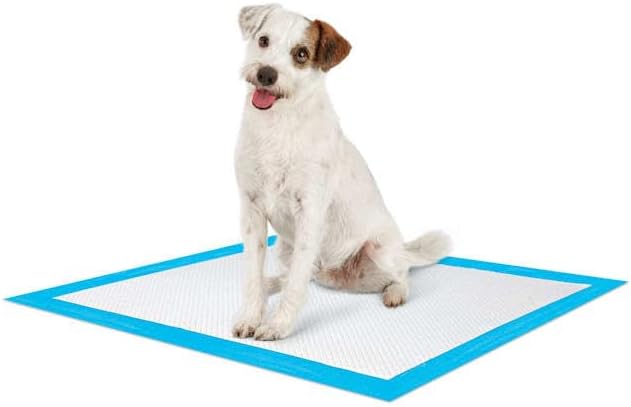 So Phresh by Petco Large Leak Guard Quilted Potty Pads Count of 200