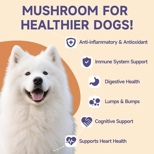 Dog Ear Cleaner Solution - Turkey Tail Mushroom for Dogs