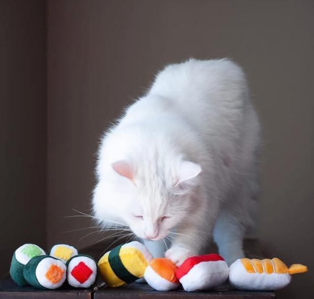 munchiecat Sushi Catnip Toy for Cats - USA Made, Engaging Sushi Design for Pouncing and Play, Kittens (4-Pc Rainbow)