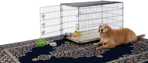 Prevue Pet Products Home On-The-Go Single Door Dog Crate - Extra Large Collapsible Dog Cage for Travel, Indoor, and Outdoor Use, Foldable Kennel Design, Deep Plastic Pan - XL, Black