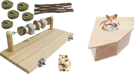 kathson Hamster Wood Ledge Platform Chewing Toys Chinchilla Cage Accessories Guinea Pig Teeth Grinding Lava Blocks Hamster Sand Bath Box Transparent Acrylic Small Animals Shower Bathtub