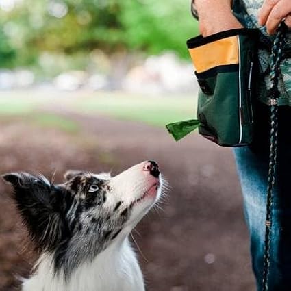 P.L.A.Y. Scout & About Deluxe Training Treat Pouch with Poop Bag Dispenser - 3 Way Wear, Detachable & Adjustable Strap, Reflective Strips, Water-Resistant Back Zipper Pocket, Squeaker (Moss)