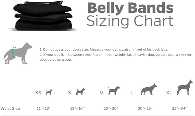 PET Parents Washable Belly Band Male Dog Diapers, Dog Wraps and EXTENDRS, Black, X-Large: 2