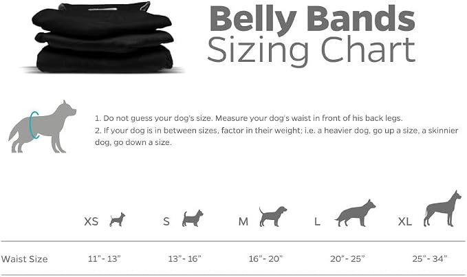 Pet Parents® Washable Belly Bands for Male Dogs (3pack) + Extendrs® of Durable Dog Diapers Male, Premium Male Dog Diapers & Dog Wraps (Medium, Black)