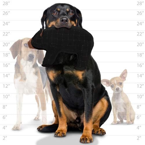 TUFFY® - 2 Pack Original : Bear Dog Toy : : Ultra Durable Plush Toy with Multiple Layers & Reinforced Seams, Washable and Floats, Original Construction