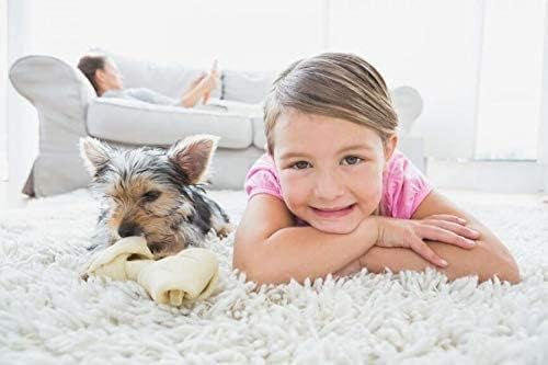 Capture Carpet Total Care Kit 100 Pet Stain & Odor Neutralizer (32 oz), Pet Stain Remover for Carpet, Rug, Couch, Car & Upholstery Bundle