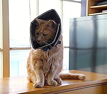 All Four Paws Comfy Cone Pet Cone for Dogs, Cats, XX-Large, Tan - Comfortable Soft Dog Cone Collar Alternative for After Surgery, Wound Care, Spay, Neuter - Dog and Cat Recovery Elizabethan-Collar