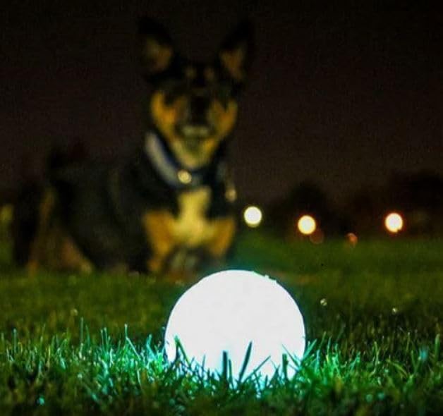 Chuckit! Glow in the Dark Bouncy Balls - Ball for Dogs, Dog Toy, Max Glow Balls - Extra-Large, 3.5 Inch (Pack of 12)