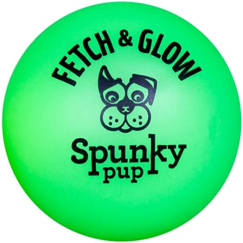 (3 Pack) Spunky Pup Fetch and Glow Ball - Large [Colors Vary]