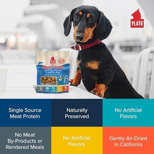 PLATO Pet Treats Small Bites - Air-Dried Training Treats for Dogs - Supports Healthy Digestion - Limited Ingredients - Salmon 6oz - 2 Pack