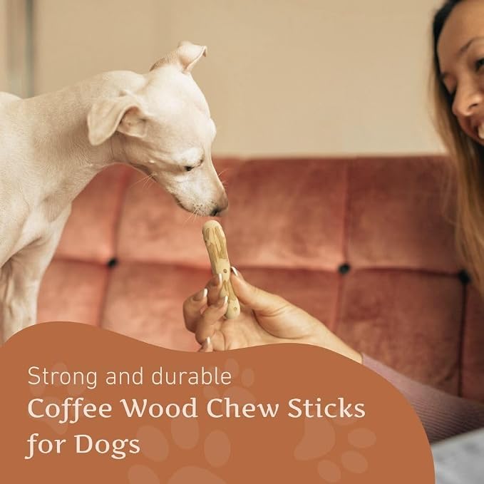 Wildfang® Coffee Wood Dog Chew, XXS – Tough Chew Toys for Aggressive Chewers, Dog Teething Toys for Puppies, Training for Chewing Muscles, Coffee Tree Sticks for XX-Small Dogs (Under 11 lbs) Pack of 1