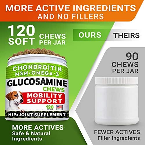 Glucosamine Treats + Probiotics Powder for Cats and Dogs Bundle - Joint Supplement w/Omega-3 Fish Oil + Relieves Diarrhea, Upset Stomach - Chondroitin, MSM + Digestive Enzymes, Prebiotics - Made in US