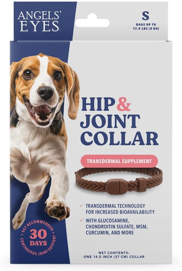 ANGELS' EYES Hip + Joint Mobility Collar for Dogs with Glucosamine, Chondroitin, MSM, and More | Convenient & Easy | 30 Days of Continuous Support | Water Resistant (Small)