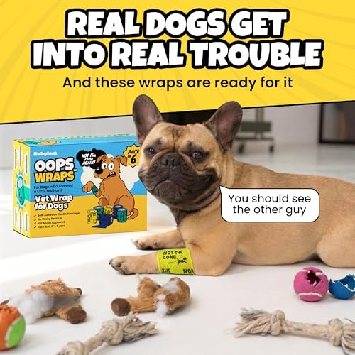 Rubyloo Vet Approved Essential Pet First Aid Kit Supplies to Treat Dogs & Cats in an Emergency with Boy’s 6 Pack of 2 Funny Vet Wrap Bandages for Home, Camping, Car, RV