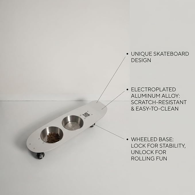 Dog Bowls Water and Food Cat Bowl Stainless Steel Bowl Pet Feeder Bowls for Medium Dogs and Cats Puppies, Silver