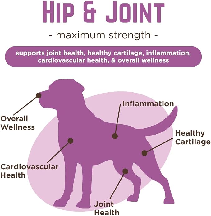 Dr. Joseph's VetPro Complete Dog Hip & Joint Supplement for Arthritis Pain Relief – High-Strength Glucosamine & Chondroitin Chews for Senior Dogs – Vet Formulated, Peanut Butter Flavor, 60 Ct