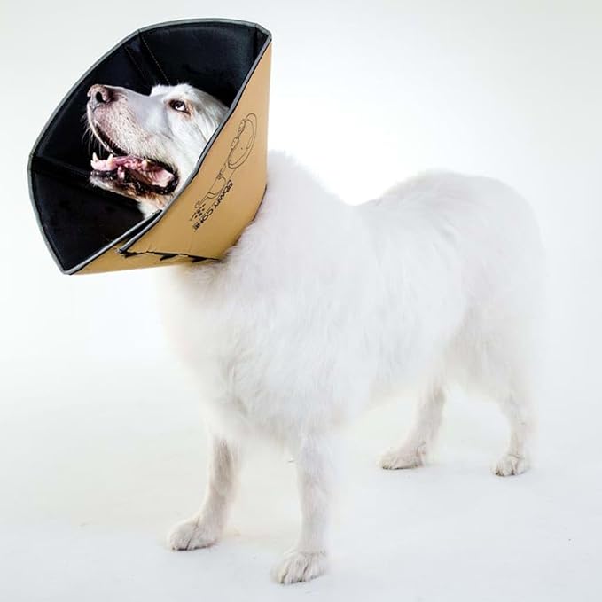 All Four Paws Comfy Cone Pet Cone for Dogs, Cats, X-Small, Tan - Comfortable Soft Dog Cone Collar Alternative for After Surgery, Wound Care, Spay, Neuter - Dog and Cat Recovery Elizabethan-Collar