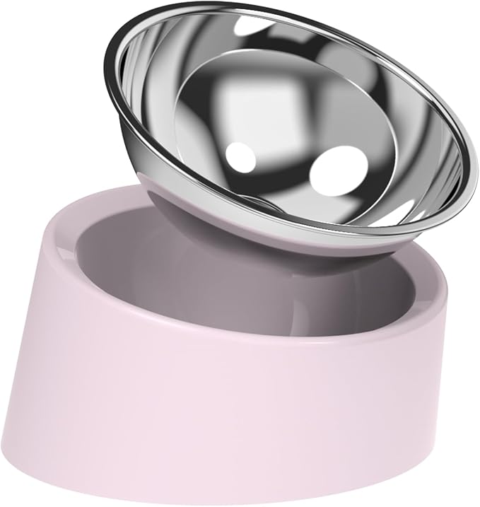 Pink Elevated Dog Bowl Set - 15° Tilted Slow Feeder (3 Sizes & 7 Colors), Anti-Choking Design with Non-Slip Base - BPA-Free for Small/Medium/Large Dogs (Pink, m)