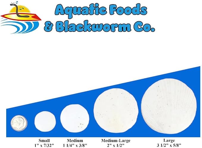 Calcium Feeder Disks for Shrimp, Snails, Crabs, Crayfish, Hermit Crabs and All Tropical Fish, 50 Count Bag of Small Calcium Feeder Disks
