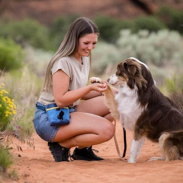 P.L.A.Y. Scout & About Deluxe Training Treat Pouch with Poop Bag Dispenser - 3 Way Wear, Detachable & Adjustable Strap, Reflective Strips, Water-Resistant Back Zipper Pocket, Squeaker (River)