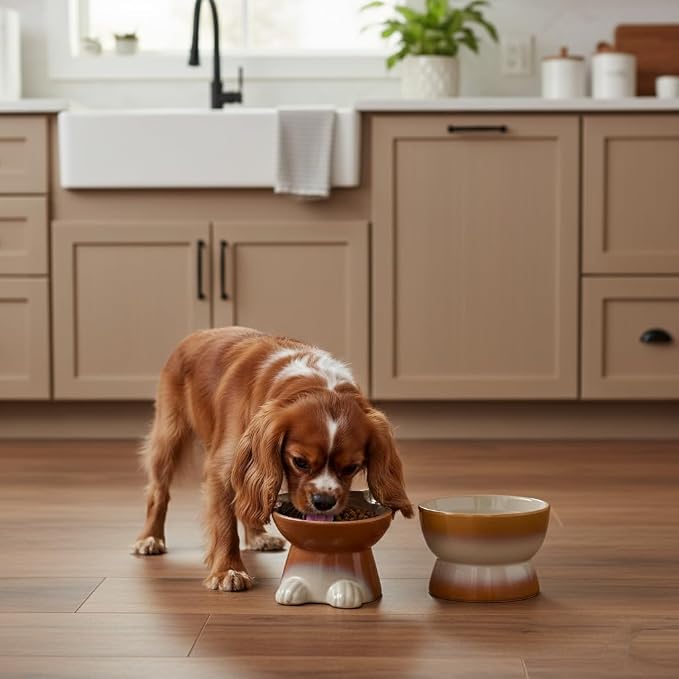 Nihow Dog Food & Water Bowl Set: Elevated Ceramic Dog Bowls for Medium/Small Size Dog - Food Safe Raised Puppy Bowls - Brown Pet Bowl for Protecting Pet's Spine (Set of 2)