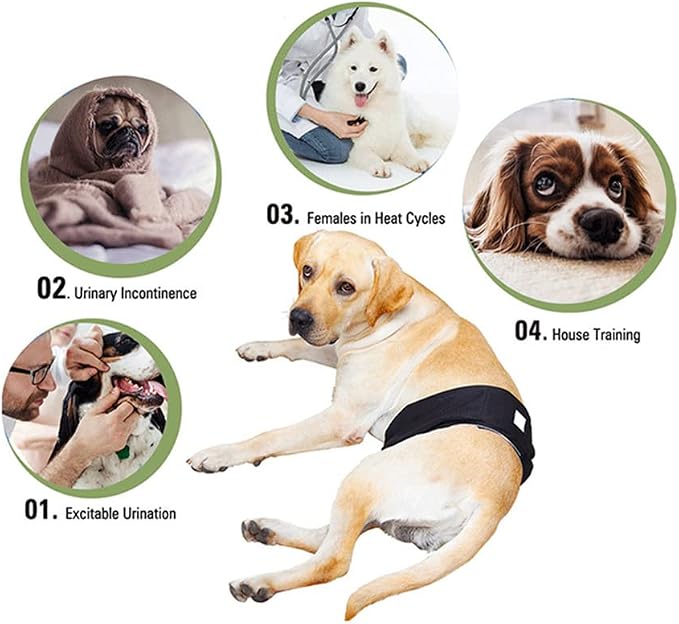 Male Dog Diapers Washable Dog Belly Bands Reusable Doggie Wraps - Pack of 3 (Cow, Small(11''-13''))