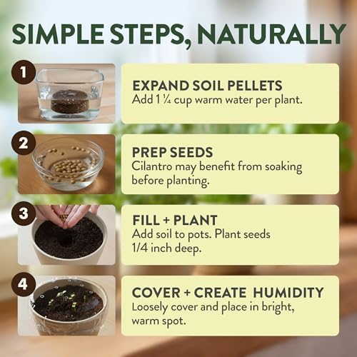 HOME GROWN 12,000+ Wheatgrass Seeds & HOME GROWN Indoor Organic Herb Garden Kit – Unique Christmas Gift for Adults, Men, & Women - Grow 4 Herb Seeds