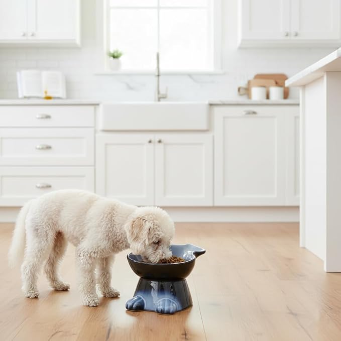 Nihow Elevated Ceramic Dog Bowl: 6.5 Inch Raised Small Dog Bowl for Food & Water - Food Safe, Protects Pet's Spine (1 PC)