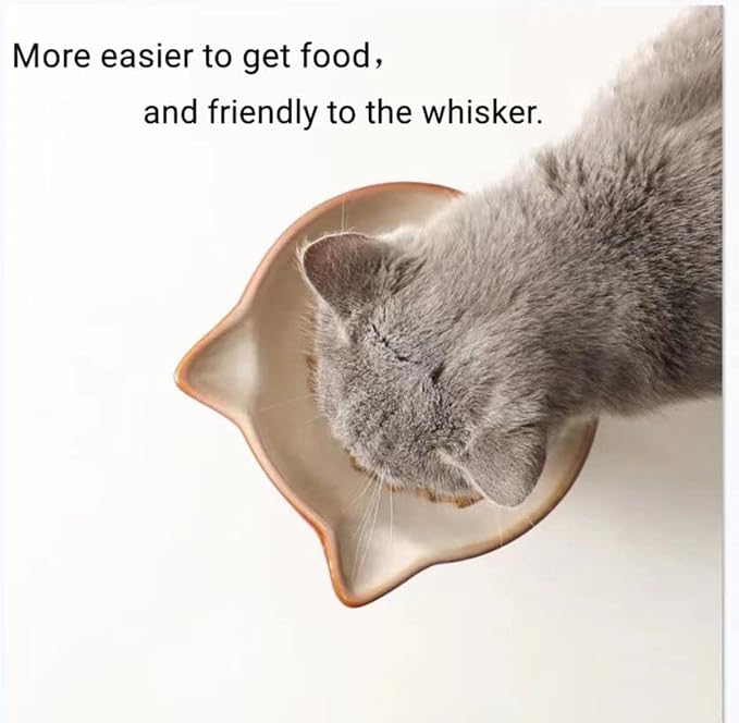 Nihow Elevated Cat/Dog Bowls: 6.25 Inch Ceramic Raised Cat Food & Water Bowl Set for Protecting Pet's Spine - Feeding & Watering Supplies for Cat/Small Size Dog - Elegant Brown (6.8 OZ /1 PC)