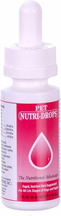 LBH MARKET Emergency Puppy Kitten Feeding Tube Kit – 5FR Kendall Tube, 12mL Syringe & Pet Nutri-Drops for Weak or Fading Puppies | Newborn Whelping Supplies for Breeders