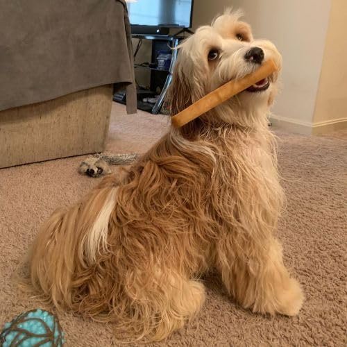 Yeti Dog Chew - Yak Cheese Himalayan - Healthy Long Lasting - Yak Chews for Large, Medium and Small Dogs - Yak Bones for Dogs - Natural Yak Cheese - X-Large, 3 Pieces, 1 LB