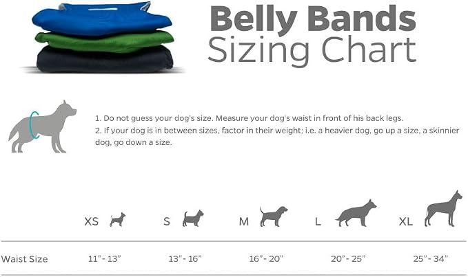 Pet Parents® Washable Belly Bands for Male Dogs (3pack) + Extendrs® of Durable Dog Diapers Male, Premium Male Dog Diapers & Dog Wraps (Small, Gentlemen)