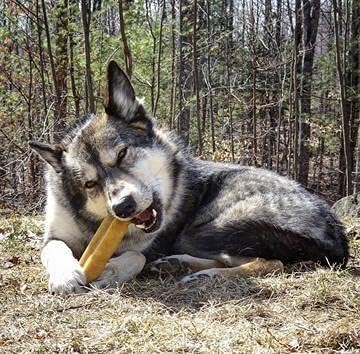 Bully Bunches Mega Authentic Yak Cheese Himalayan Chews for Giant Dogs & Super Aggressive Chewers - All Natural Dog Treat Dental Chews, Made with Real Yak Milk - Lactose & Rawhide Free (4 PK)