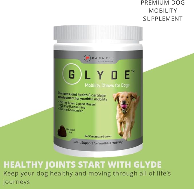 Glyde Hip & Joint Supplement for Senior Dogs, Mobility Support, 60 Chews | Green Lipped Mussel, Glucosamine and Chondroitin help support healthy cartilage, joints and mobility in senior dogs