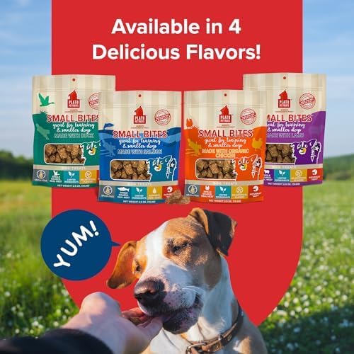 PLATO Pet Treats Small Bites - Air-Dried Training Treats for Dogs - Supports Healthy Digestion - Limited Ingredients - Salmon 6oz - 2 Pack