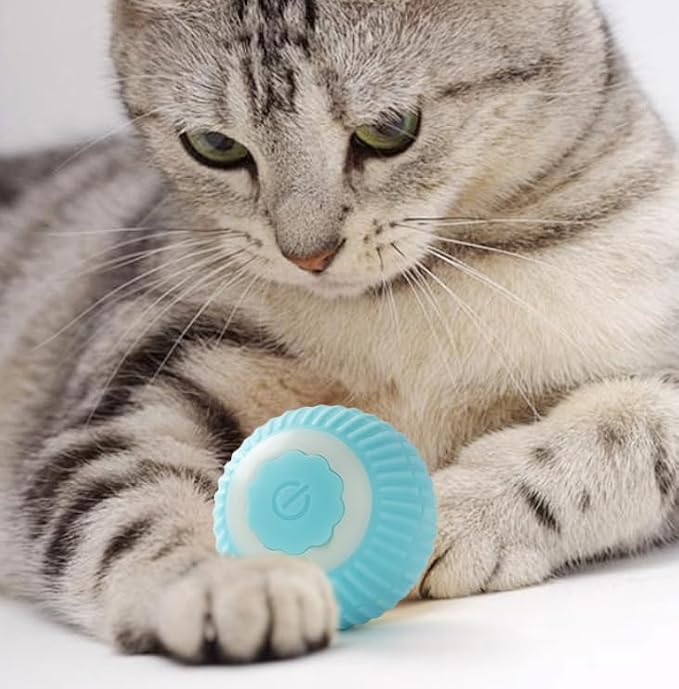 Smart Interactive Cat Toy Ball, Automatic Moving Cat Ball with Obstacle Avoidance, LED Light, Silicone Self-Rolling Cat Toy for Indoor Cats, Stimulate Hunting Instinct, Relieve Boredom (Blue)