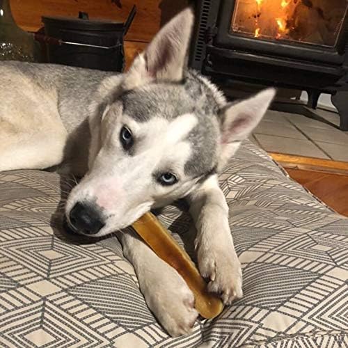 Yeti Dog Chew - Yak Cheese Himalayan - Healthy Long Lasting - Yak Chews for Large, Medium and Small Dogs - Yak Bones for Dogs - Natural Yak Cheese - XL, 5.5 oz