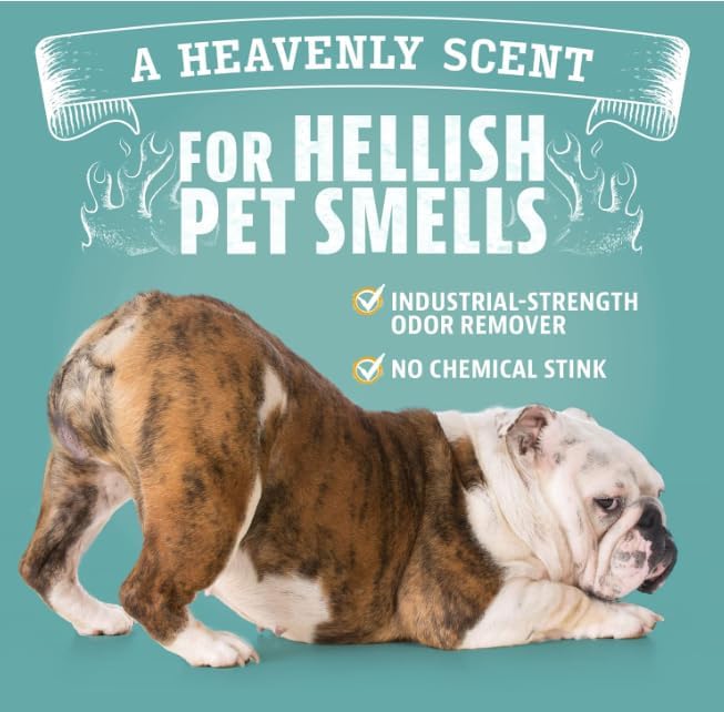 ANGRY ORANGE Pet Odor Eliminator Kit for Dog/Cat Urine, 24oz Citrus Odor Eliminator Spray and Stain Sniper Flashlight - NEW Orange Rush Scent