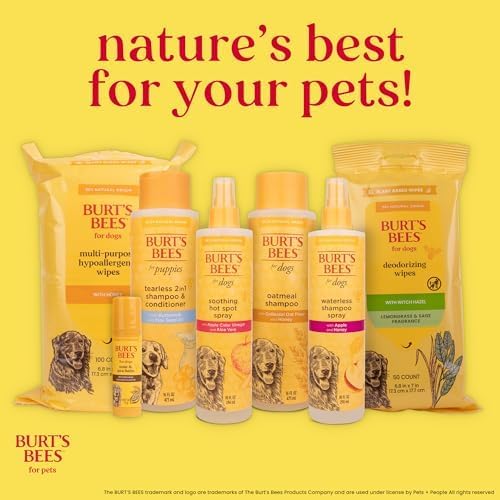 BURT'S BEES FOR PETS Itch Soothing Dog Shampoo with Honeysuckle, 95% Natural Origin, pH Balanced, No Sulfates, Parabens, or Phthalates, Relieves Itchy Skin, 32 Fl Oz - 2 Pack