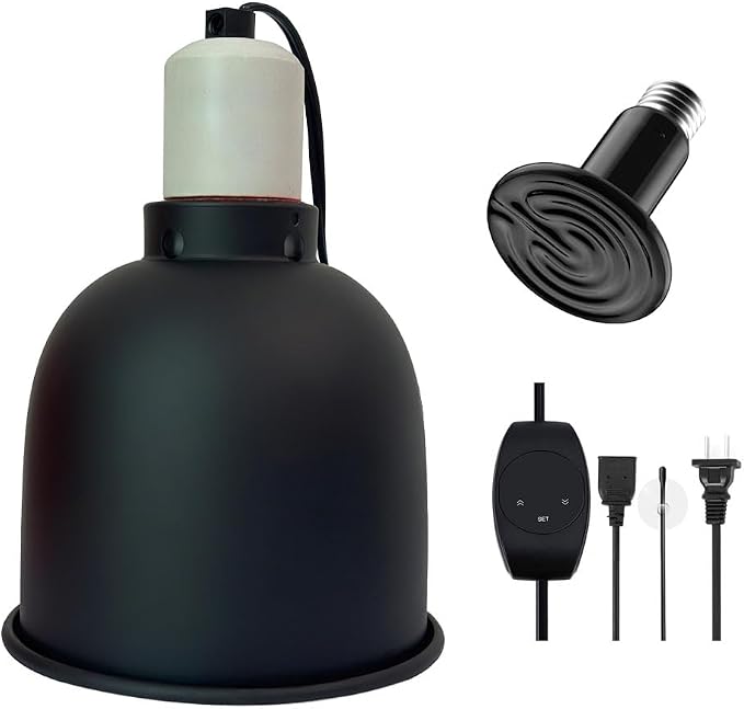 Reptile Light with Thermostatic Timer, 5.5'' Reptile Heat Lamp Fixture Switch Control Function with Heat Lamp Bulbs for Reptile Glass Terrariums 300W