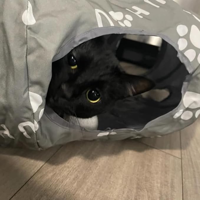 Cat Tunnel Bed for Indoor Cats, Donut Tunnel with Mat, Straight Tunnel, 4 Hanging Balls and Blackout Tent, Collapsible Peekaboo Cat Cave