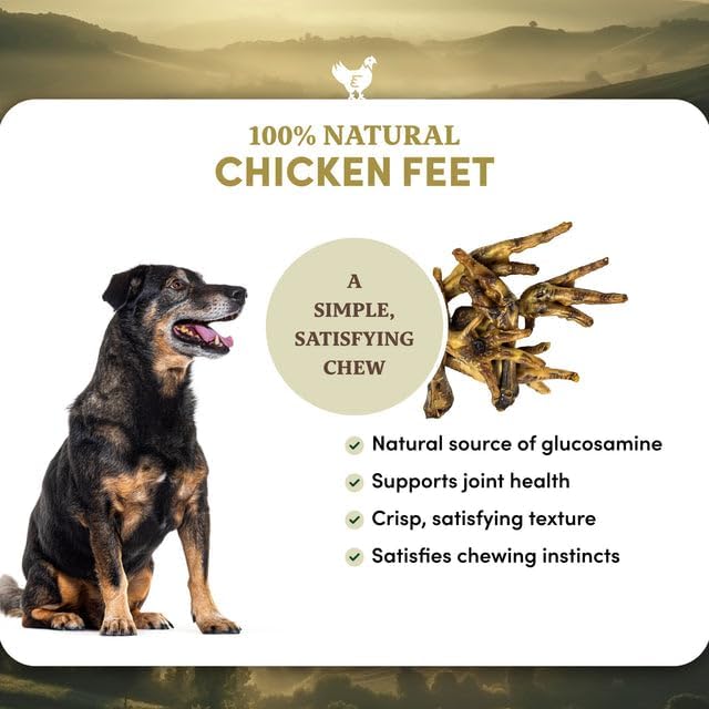 Chicken Feet Dog Treats, Dehydrated Chicken Feet for Dogs, Single Ingredient High Protein Chicken Chews, Crunchy Natural Dog Snacks for Small Medium Large Dogs, 10 Pcs Bag