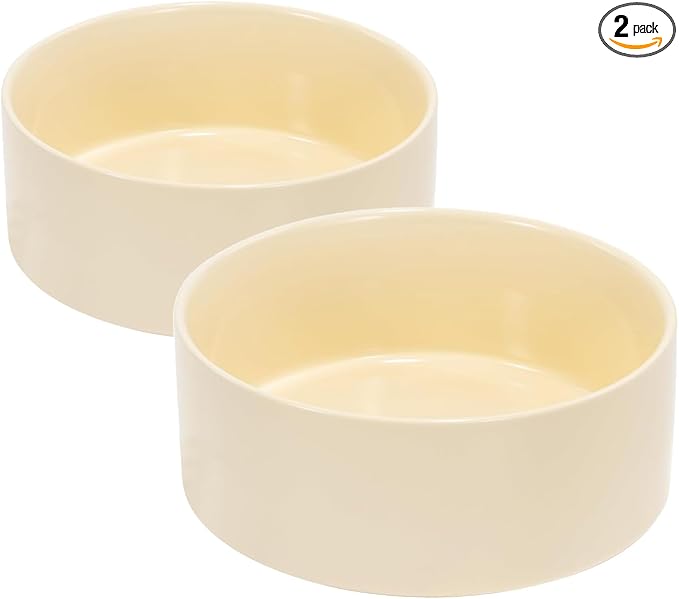 SPUNKYJUNKY 42OZ Ceramic Dog and Cat Bowl, Modern Cute Weighted Food Water Bowl for Replacement Beige (2 Pack)