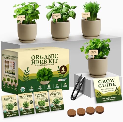 HOME GROWN 12,000+ Wheatgrass Seeds & HOME GROWN Indoor Organic Herb Garden Kit – Unique Christmas Gift for Adults, Men, & Women - Grow 4 Herb Seeds